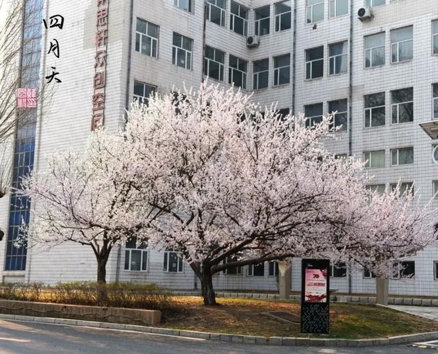 长工程的四月天不能没有你